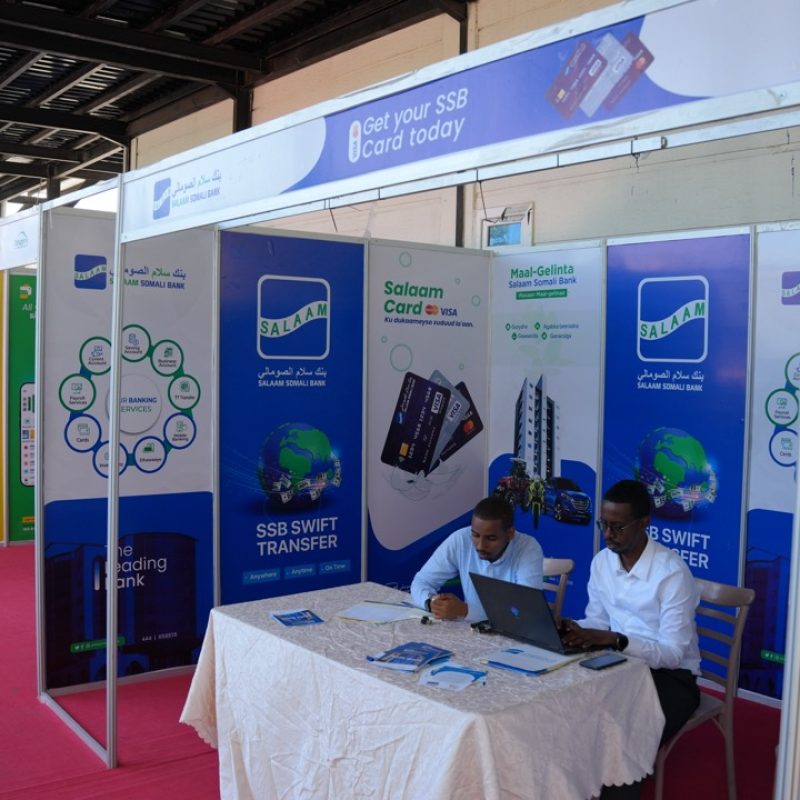 Exhibition & Branding Solutions